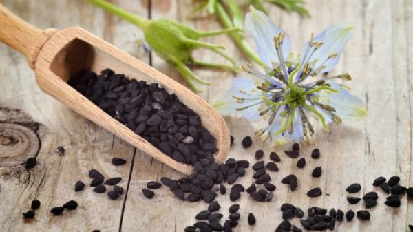 Nigella Sativa - Image 2