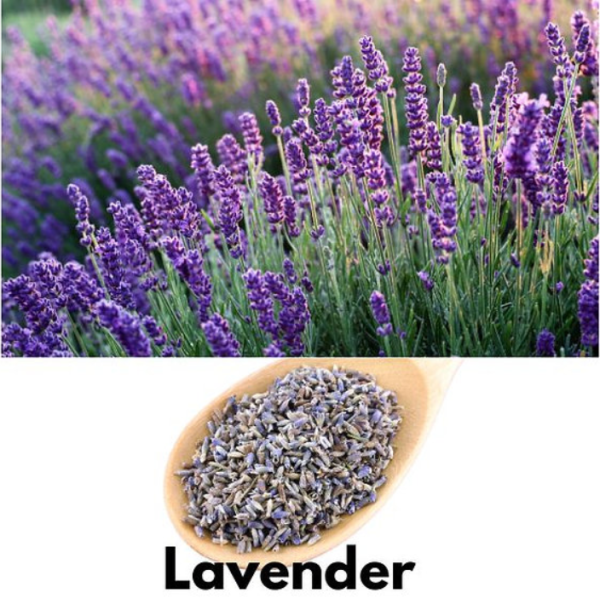 Lavender Flower Tea - Image 3